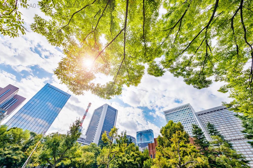 2025台北市新建案：5大投資策略解析！